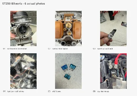 ST250 の投稿写真